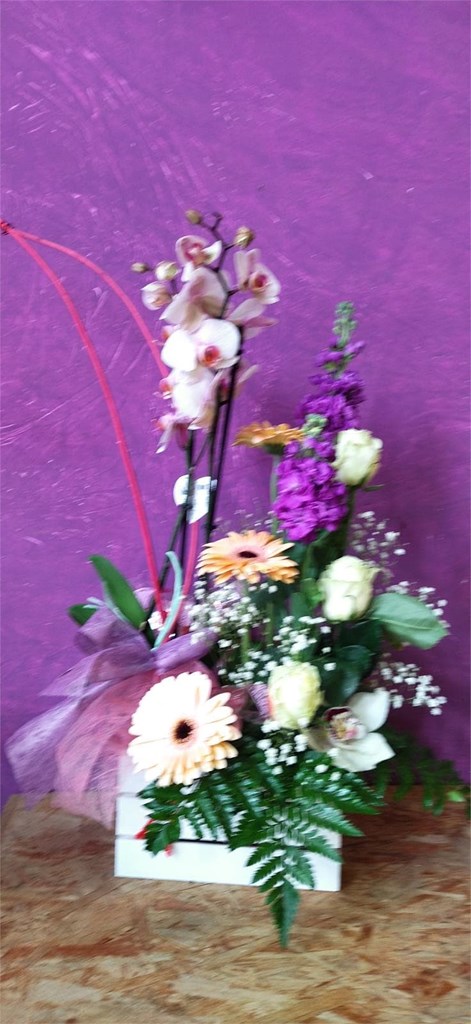 Foto 1 caja con plantas y flores