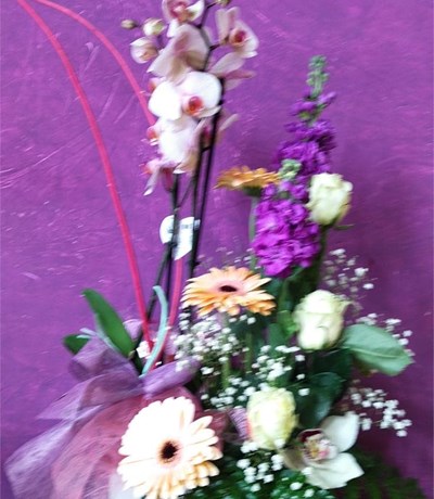 caja con plantas y flores