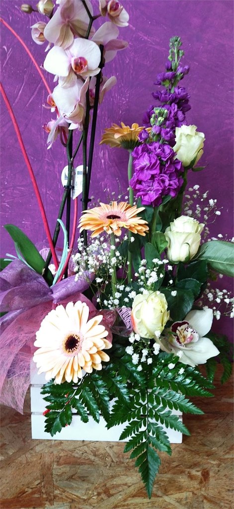 Foto 2 caja con plantas y flores