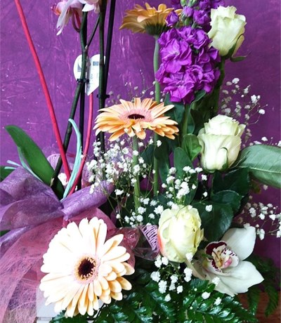 caja variada con plantas y flores