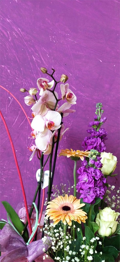 Foto 2 caja variada con plantas y flores