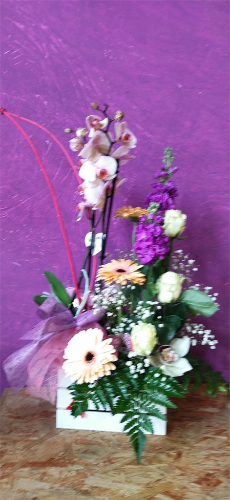 Foto 3 caja variada con plantas y flores