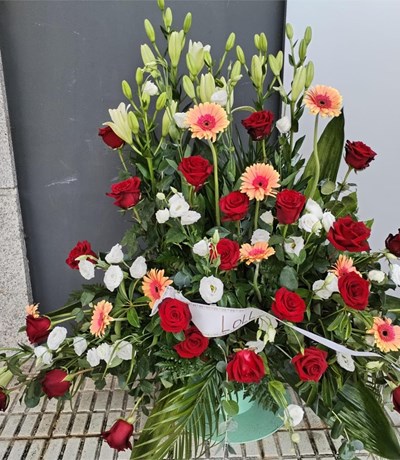centro funerario  xl