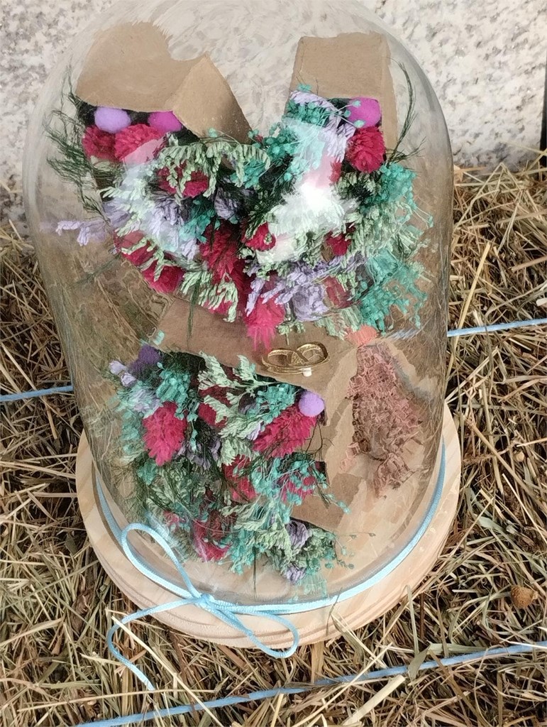 Foto 1 CÚPULA DOBLE INICIAL