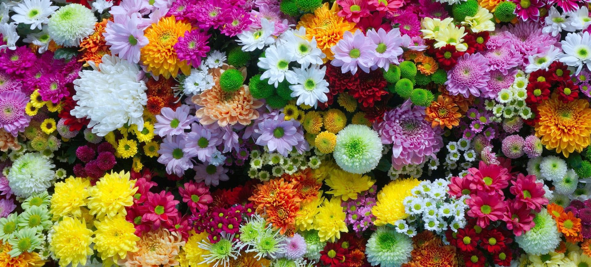 COMPRAR UN RAMO DE FLORES EN SALVATERRA DO MIÑO