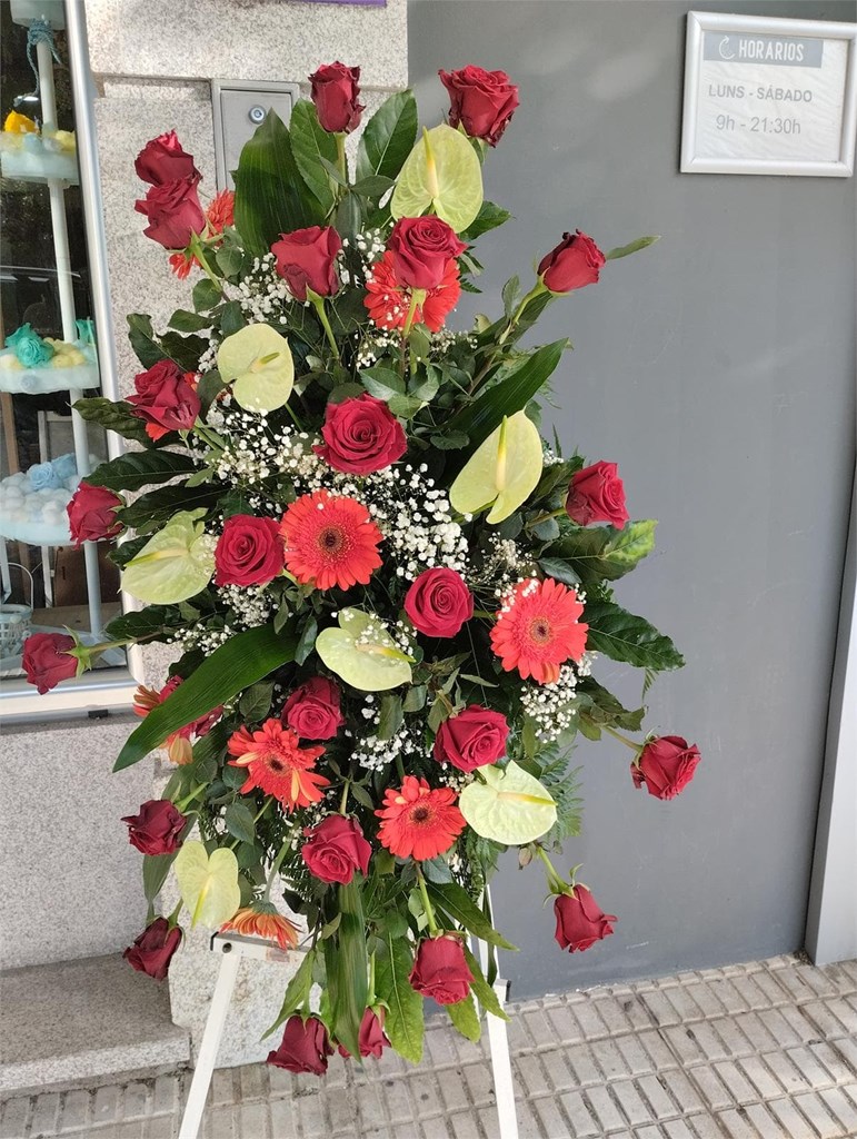 Foto 2 LAFRIMAL ROJO