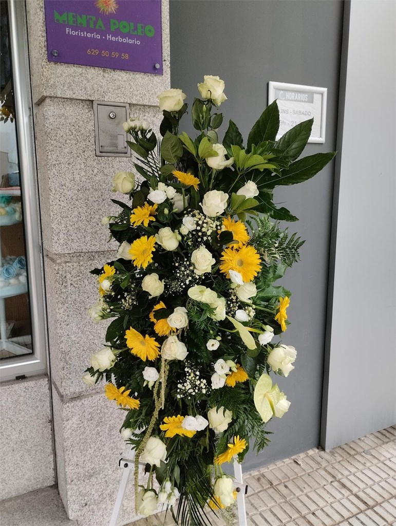 Foto 1 LAGRIMAL AMARILLO