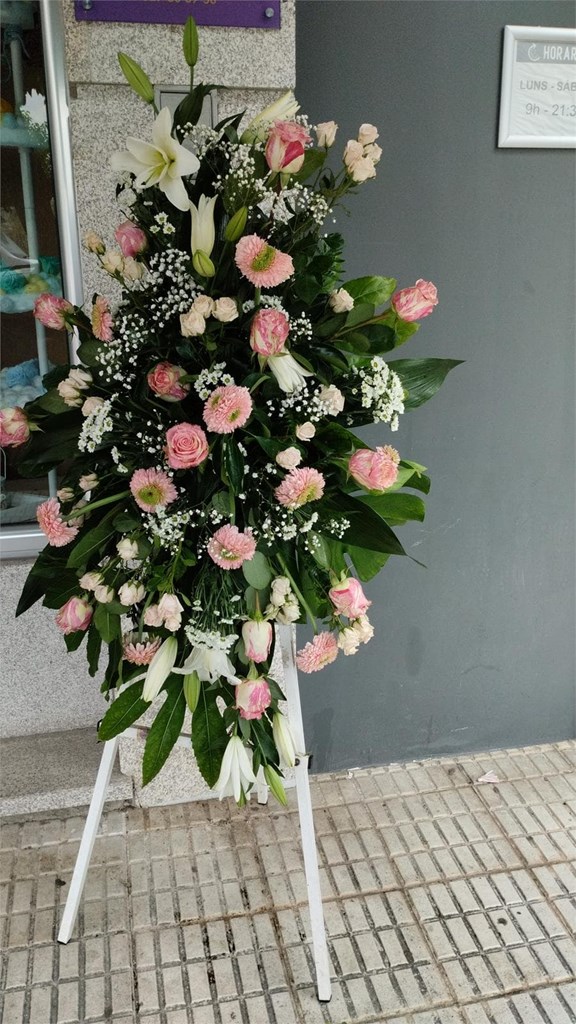 Foto 1 LAGRIMAL ROSA